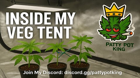 🌱 Inside My Veg Tent Setup – Patty Pot King’s Indoor Grow Secrets