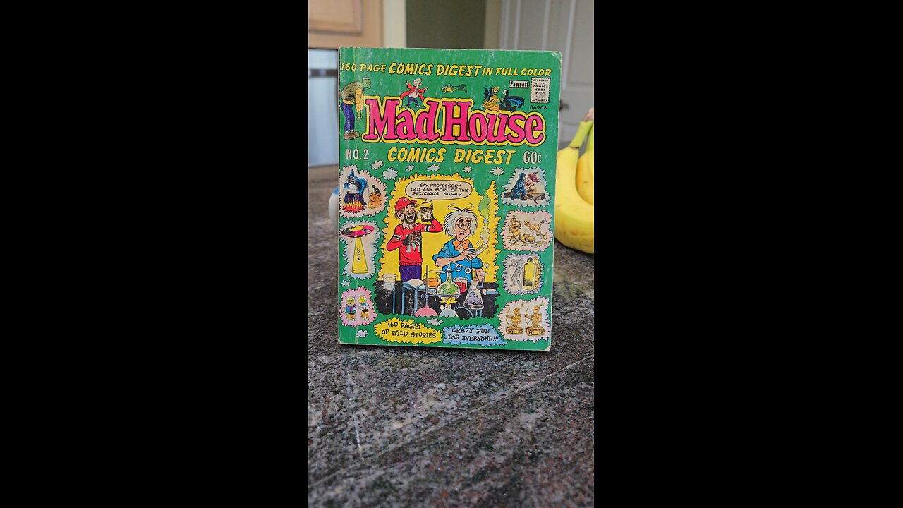 Mad House Comics Digest No. 2 1976-1977 edition Radio Comics, In