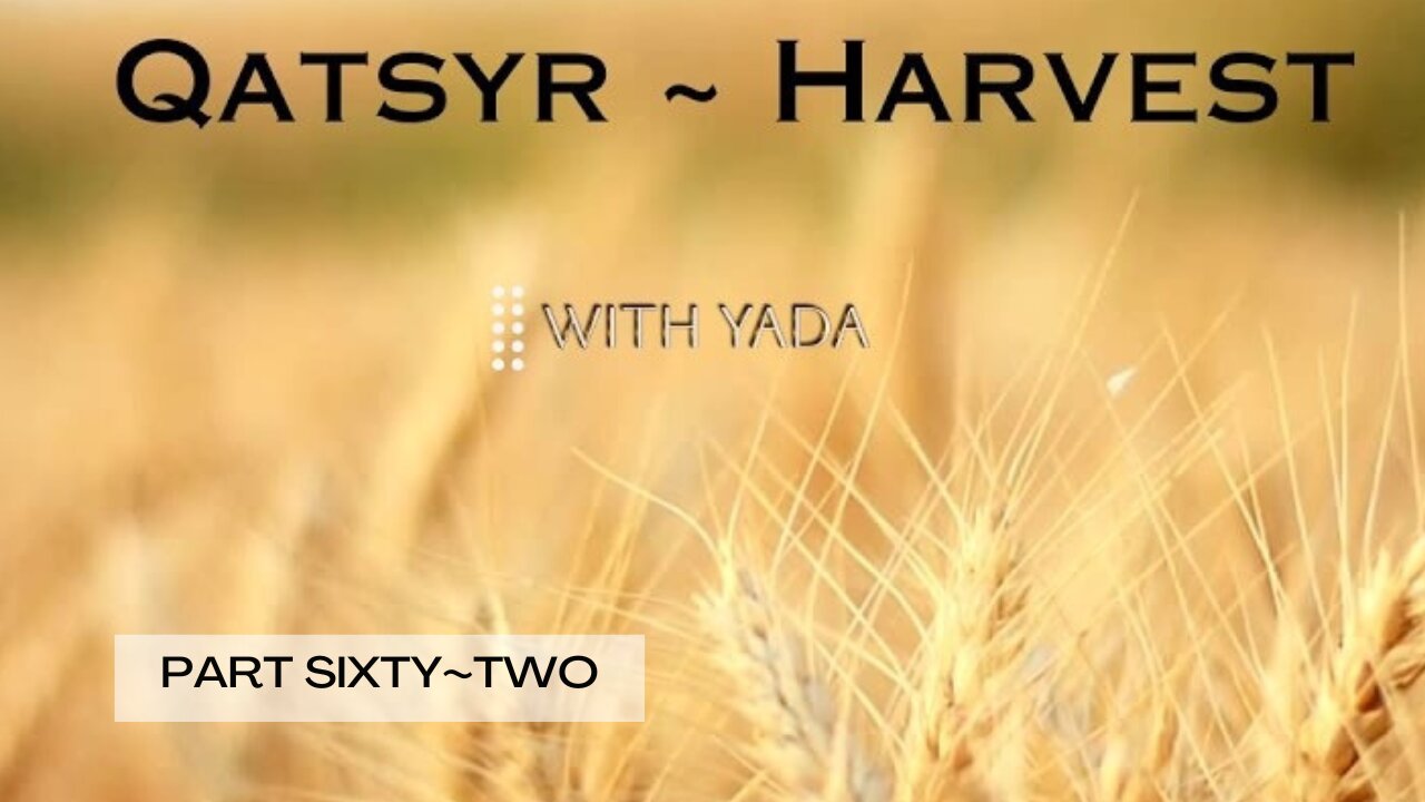 Qatsyr ~ Harvest Part Sixty~Two 07 July 2025