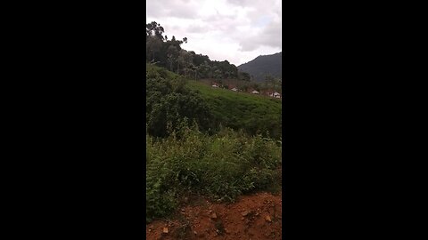 ooty toy train