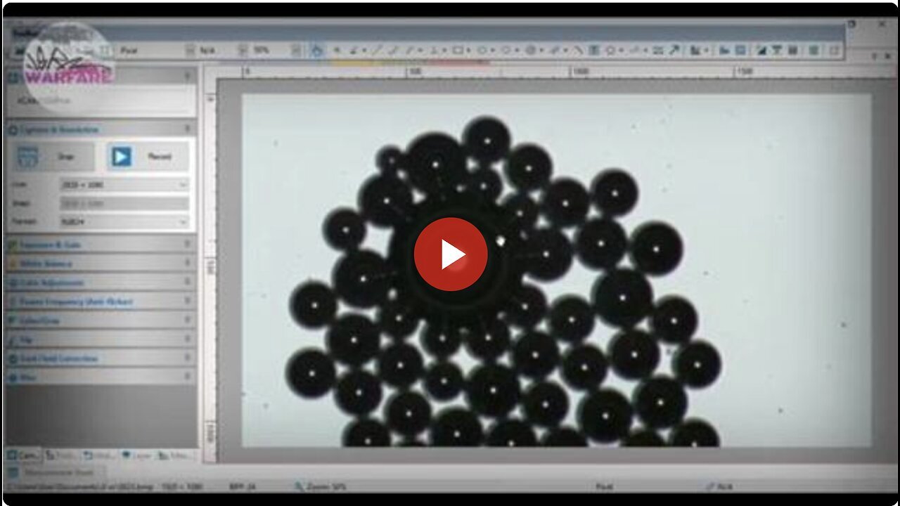 "Dr. Zandre Botha Uncovers Graphene Nanobot Objects in South African Vaccines"