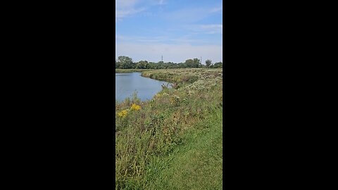 A Big Blue Heron on the Autumn Equinox
