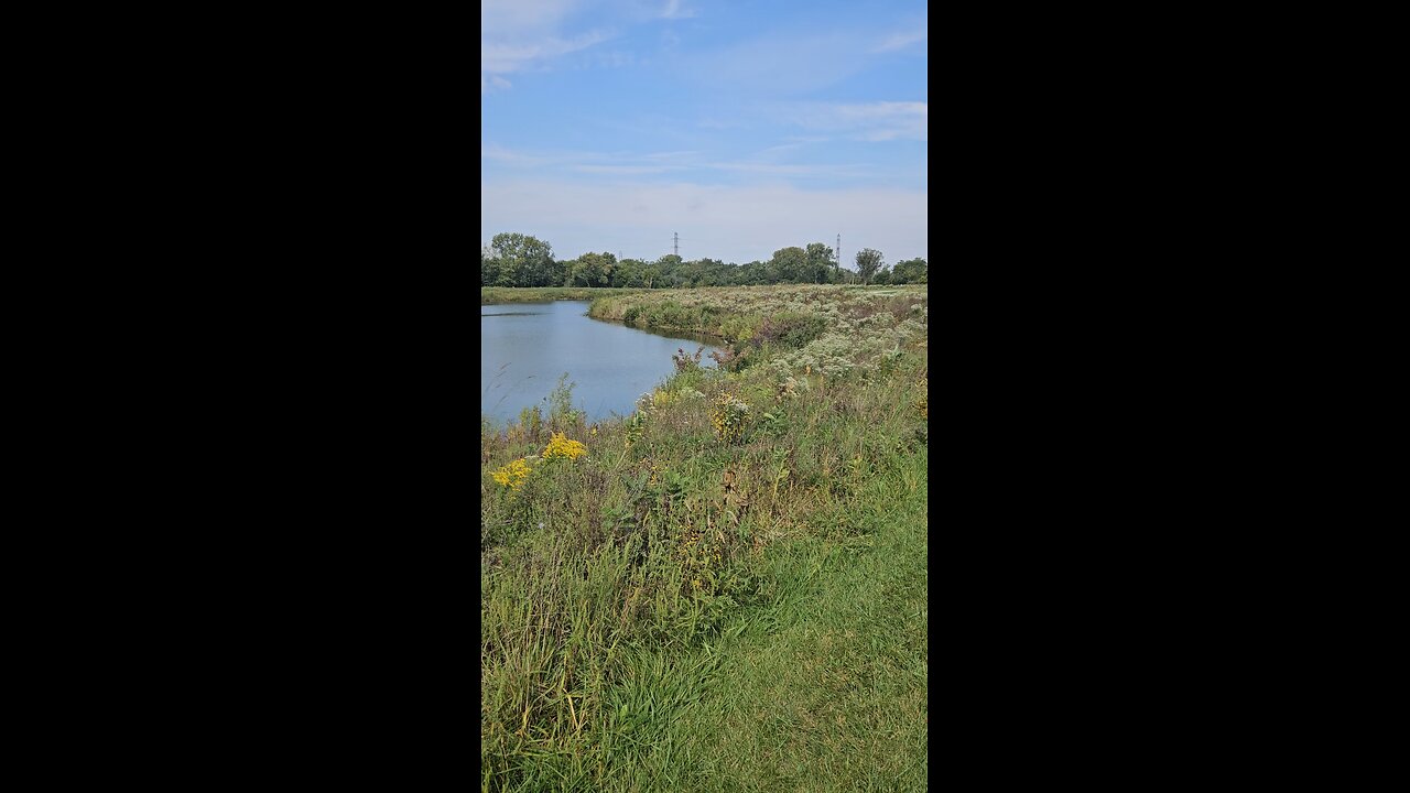 A Big Blue Heron on the Autumn Equinox