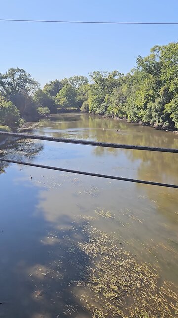 A lot of Water Fowl Activity on Salt Creek