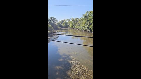 A lot of Water Fowl Activity on Salt Creek