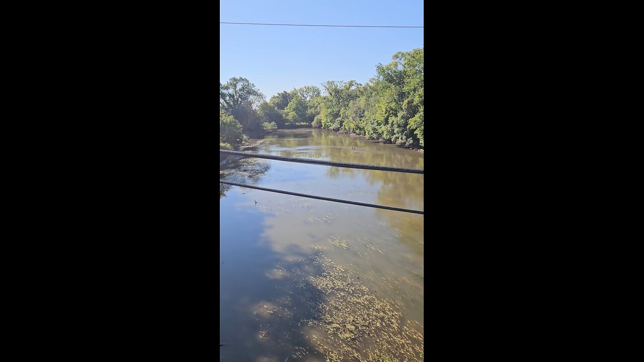 A lot of Water Fowl Activity on Salt Creek