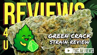 GREEN CRACK (STRAIN REVIEW) | REVIEWS 4 U - GRASS CHIEF
