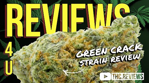 GREEN CRACK (STRAIN REVIEW) | REVIEWS 4 U - GRASS CHIEF
