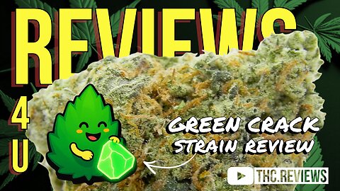 GREEN CRACK (STRAIN REVIEW) | REVIEWS 4 U - GRASS CHIEF