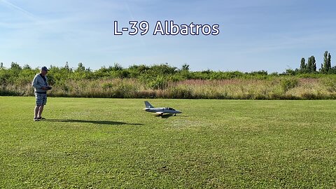 3D printed L-39 Albatros EDF 90mm