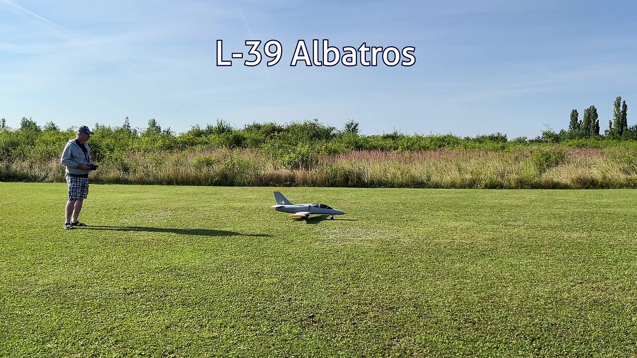 3D printed L-39 Albatros EDF 90mm