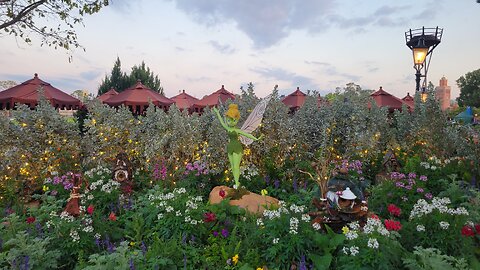 Epcot flower and garden B roll 2025