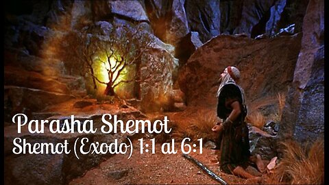 Noche de Shabbat y Noticias