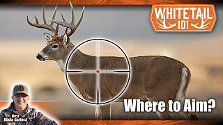 Tips on Where to Shoot a Deer