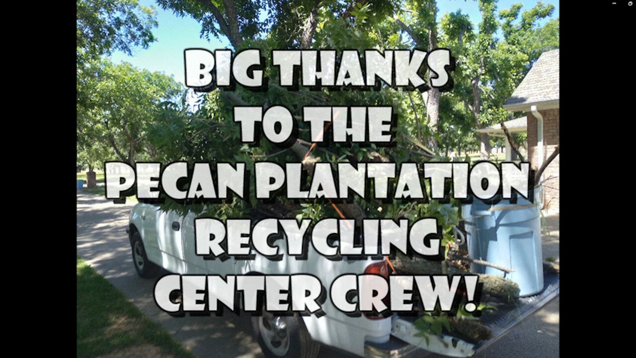 TREE RECYCLING - Pecan Plantation