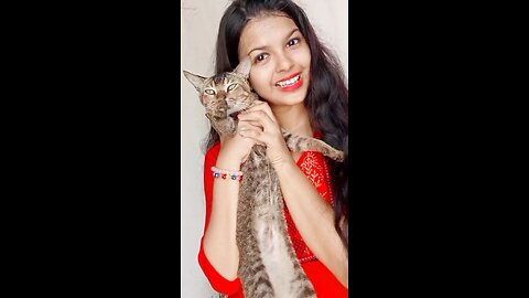 cute cat on my home