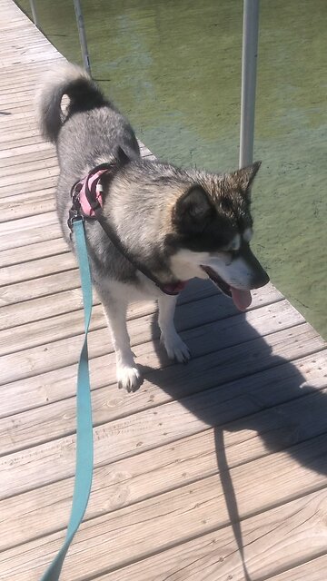 Monday Memorial Day May 26, Everyone who sings is asleep soon.