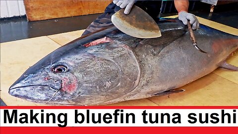 We cut and cook a huge blue tuna and make sushi dishes from it