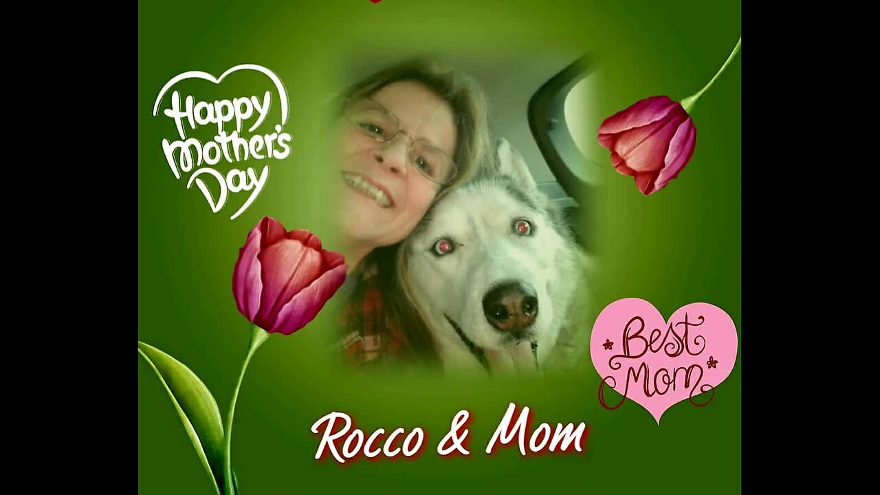 Woofs & Wags: Graphics for Furry Friends - Mother's Day 2025