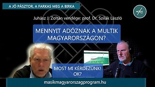 Mennyit adóznak a multik Magyarországon? - prof. Dr. Szilák László és Juhász J. Zoltán