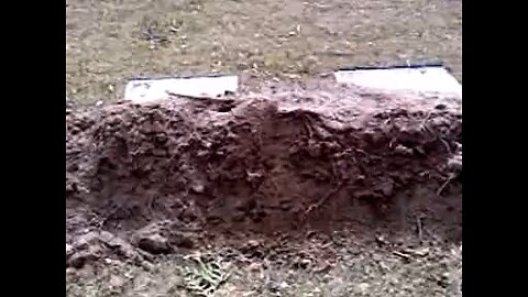 Care In A Graveyard Part 3