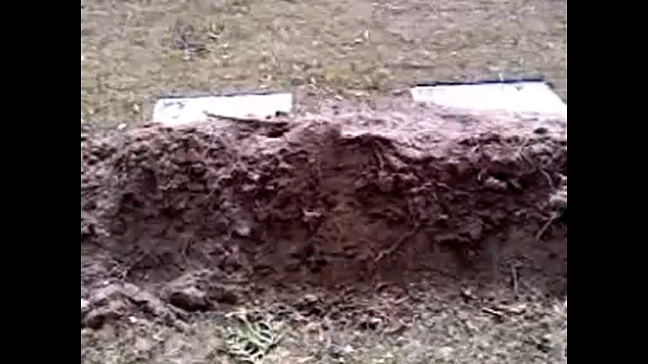 Care In A Graveyard Part 3