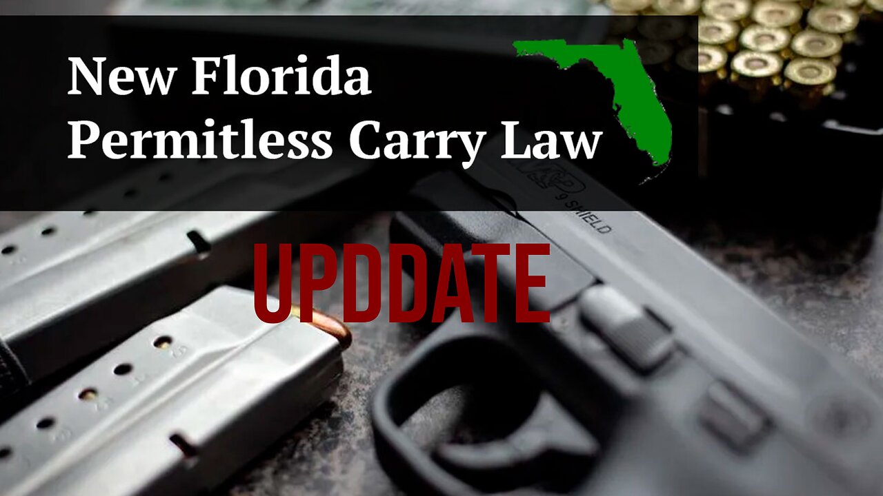 Checking in on new Florida gun laws