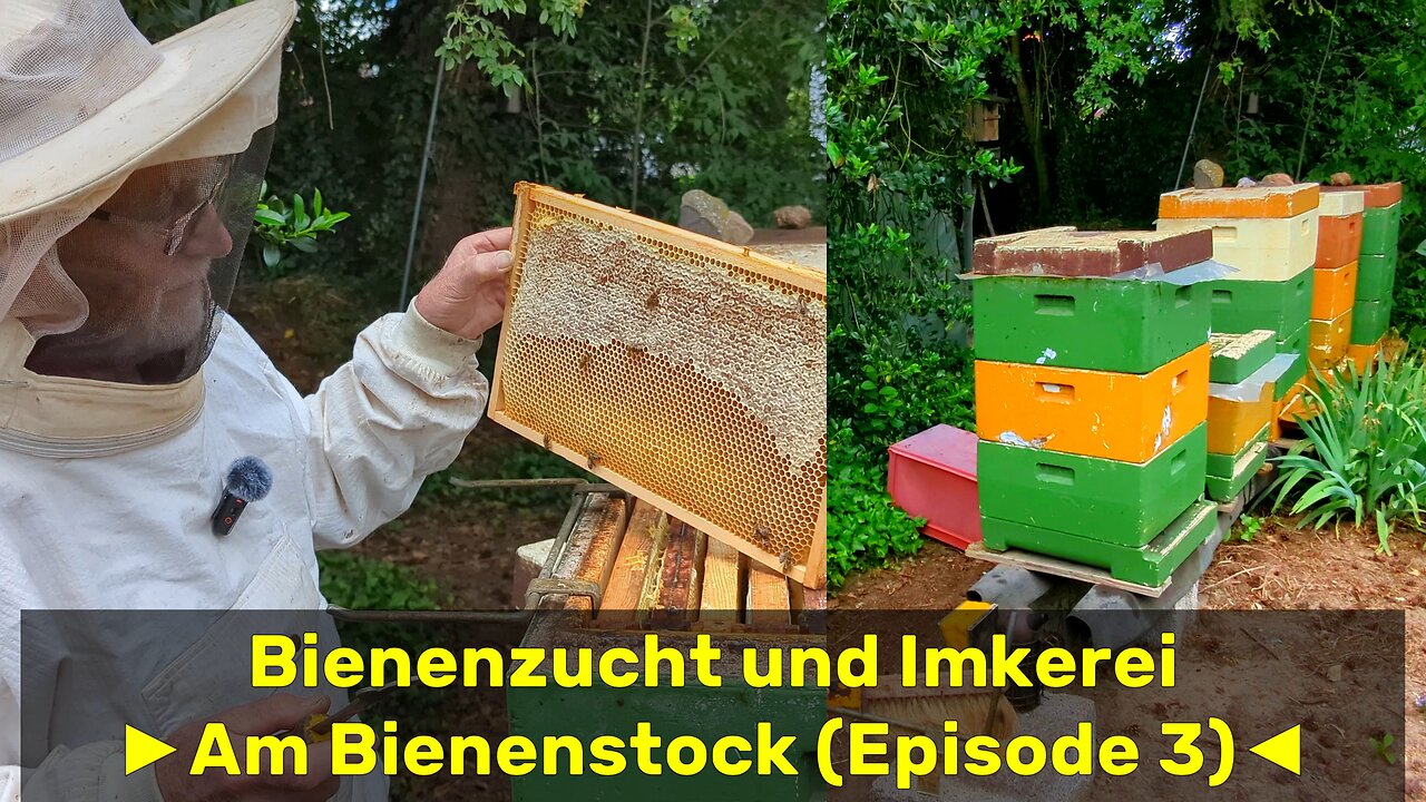 Bienenzucht und Imkerei mit Hartmut [Episode 03] 🇩🇪 (2024-05)