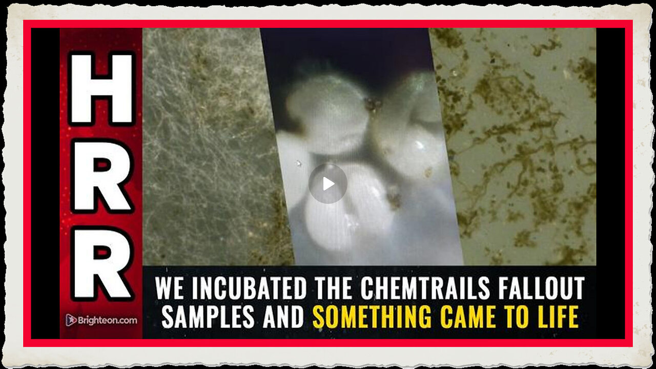 We incubated the chemtrails fallout samples and SOMETHING CAME TO LIFE