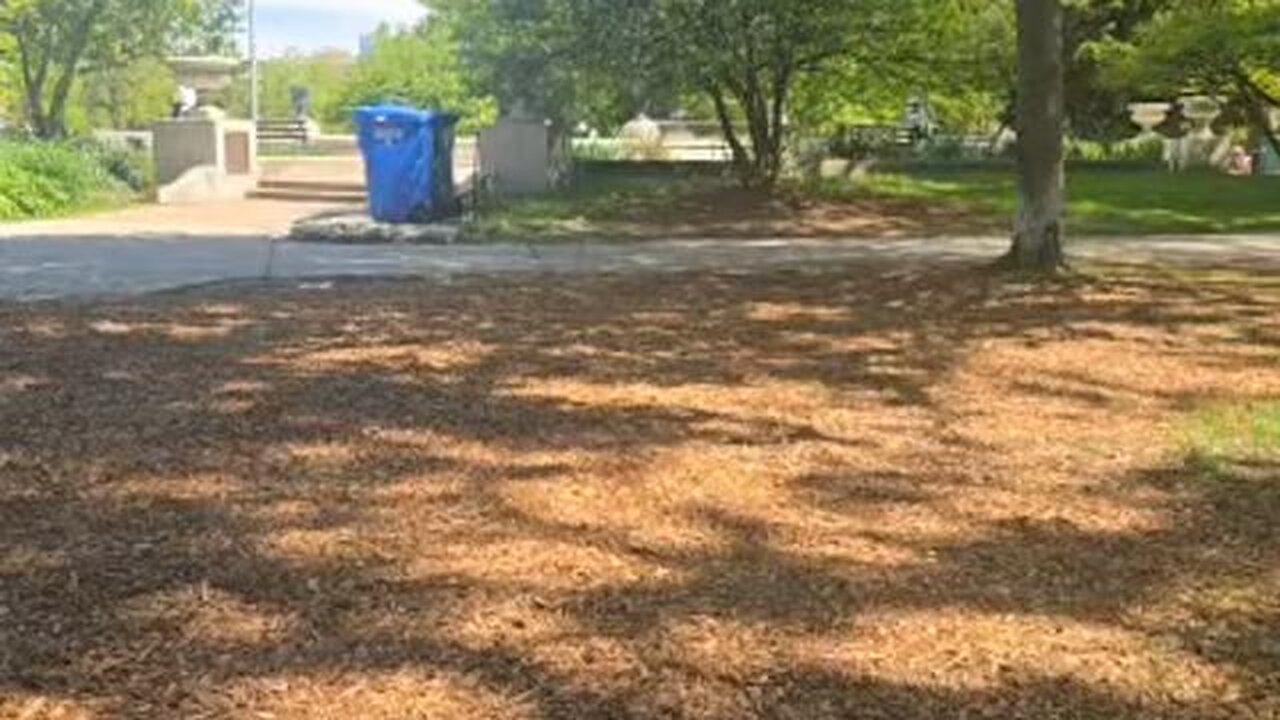 why they'll be no peace until Israel goes home.