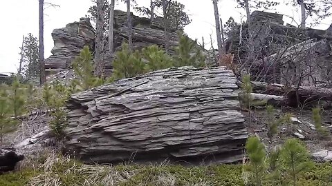 [Jul 16, 2019] The original forest on flat earth part 15, 6 of 7, My Trip Unedited [Hangman1128]