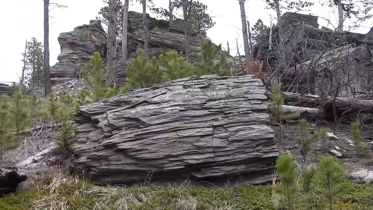 The original forest on flat earth part 15, 6 of 7, My Trip Unedited