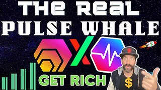 [Dec 30, 2021] Hex & Pulse has the Whales! FOLLOW THE SMART MONEY! Ape into PulseX Sacrifice - GET RICH!! [MY LIFE IS AWESOME]