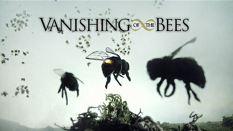 Vanishing Of The Bees | Documentary