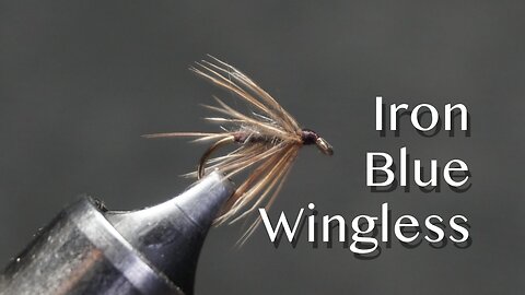 Iron Blue Wingless: a Jim Leisenring / “Pete” Hidy flymph