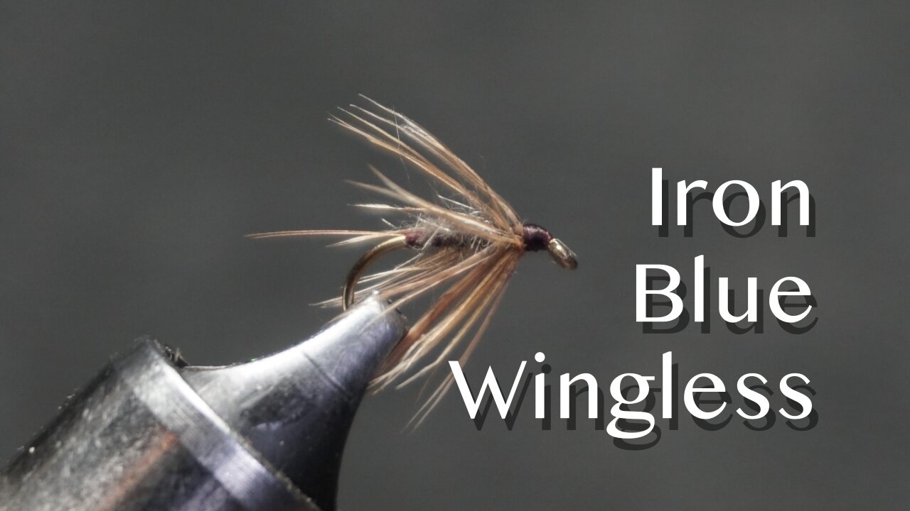 Iron Blue Wingless: a Jim Leisenring / “Pete” Hidy flymph