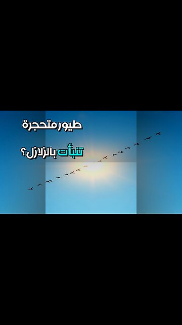 طيور متحجرة ️ هل تنبأت بالزلازل قديماً؟ #مقاطع_قصيرة