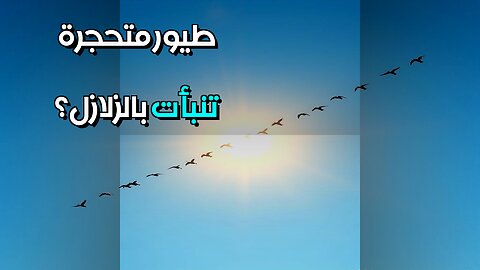 طيور متحجرة ️ هل تنبأت بالزلازل قديماً؟ #مقاطع_قصيرة