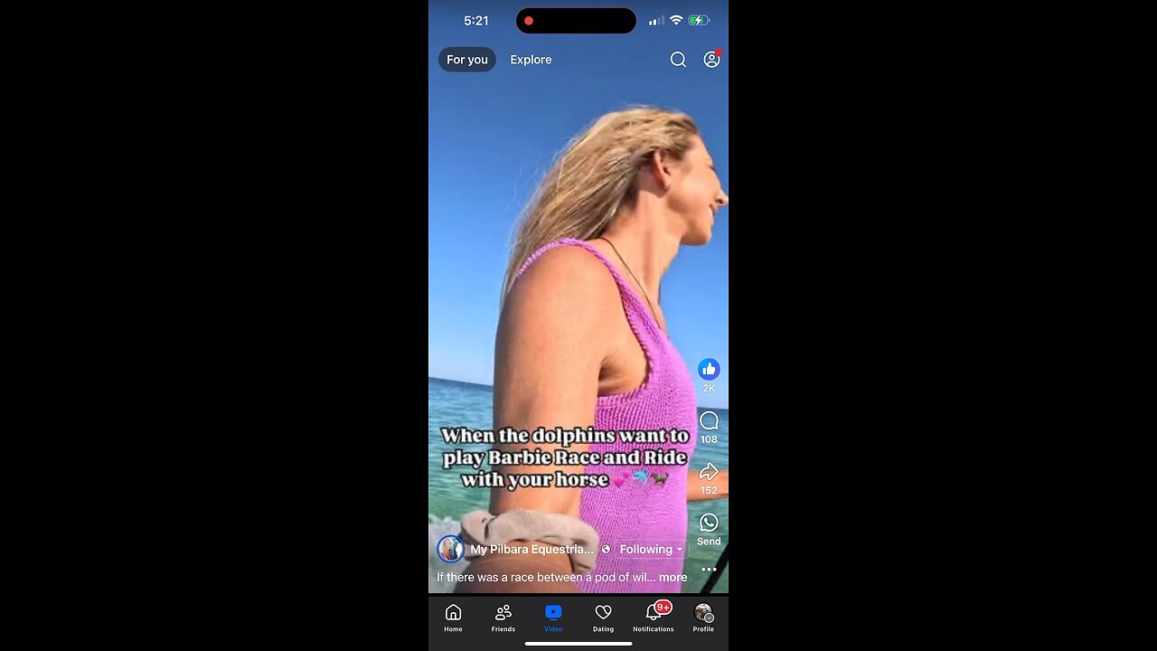 Small Miracle. Horses and dolphins paying on Western Australia beach. My Pilbara Equestrian Facebook