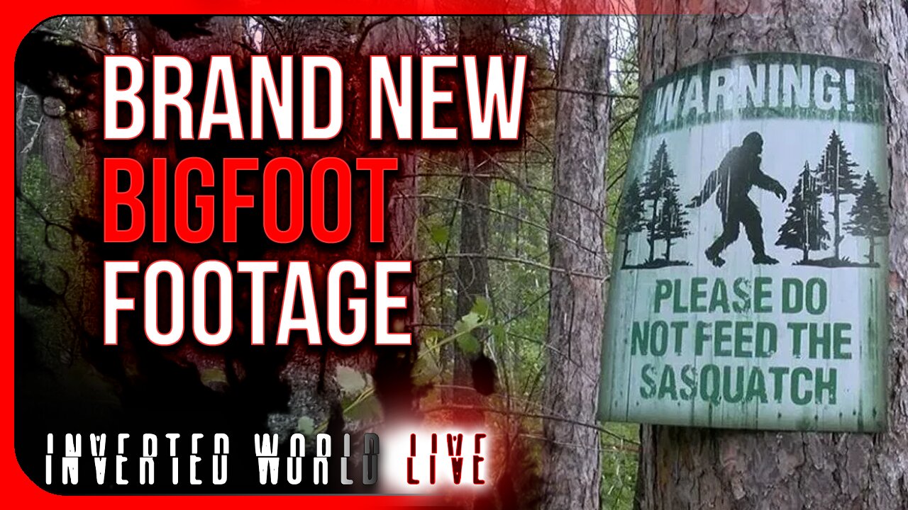 Brand New Bigfoot Footage