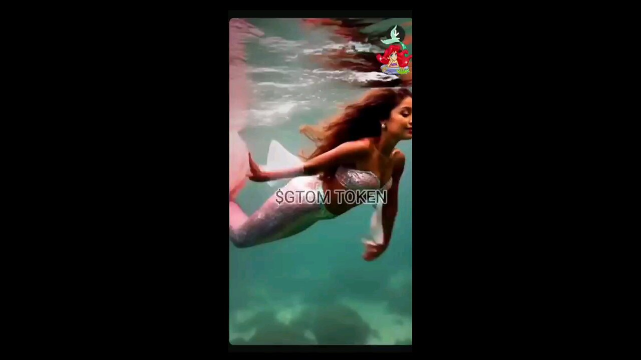 Sirens | 🧜♀️ Mermaid, $GTOM token the official meme token on telegram