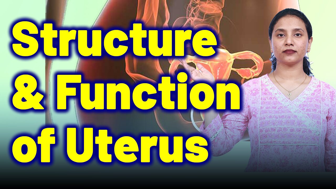 Structure & Function of Uterus in Dysmenorrhea, Painful Periods. |Treatment Cure Homeopathy