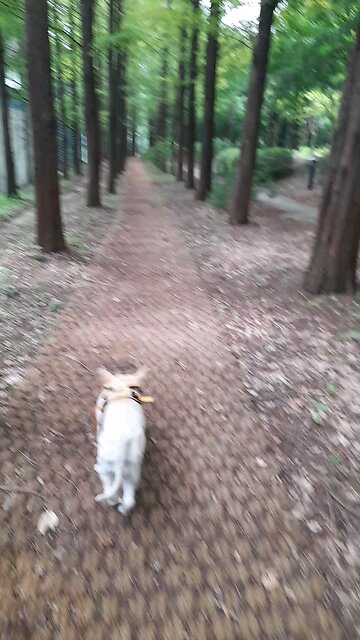 20250731. I believe God.