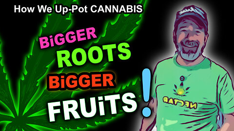 How To Up-Pot Cannabis In Veg – To 7 Gallon Fabric Grow Bags – Soil Recipes – Transplant Hacks