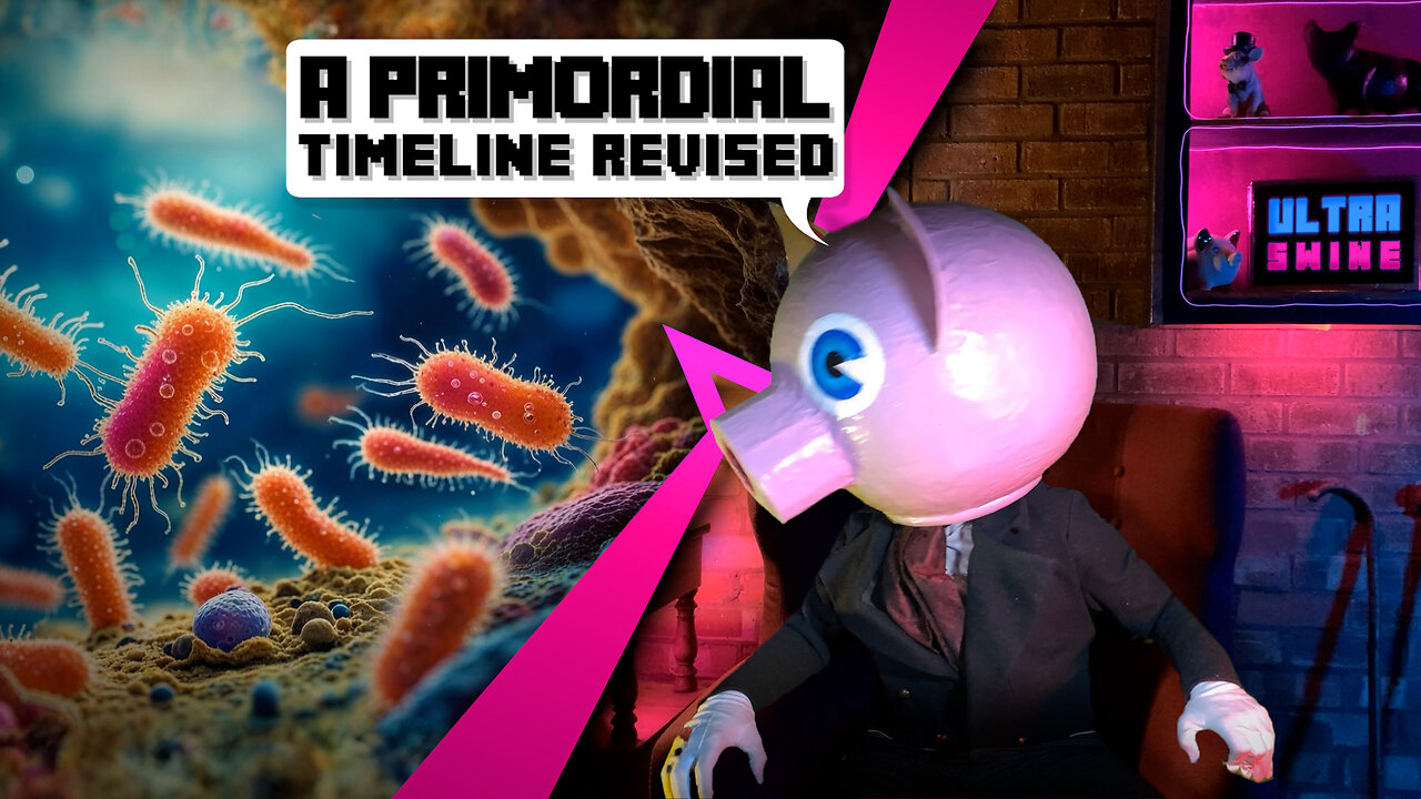 A Primordial timeline revised