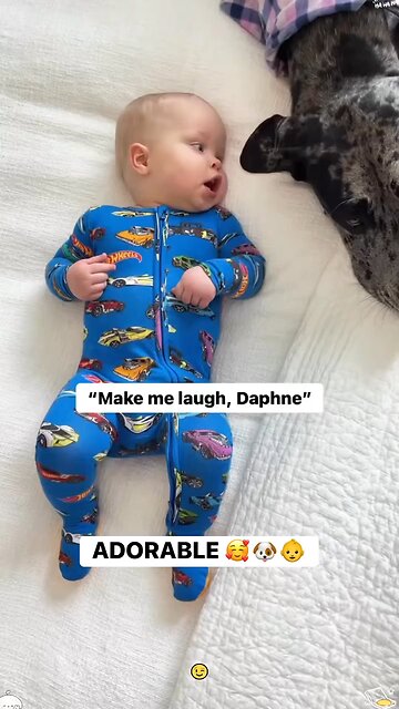 cute baby n dog