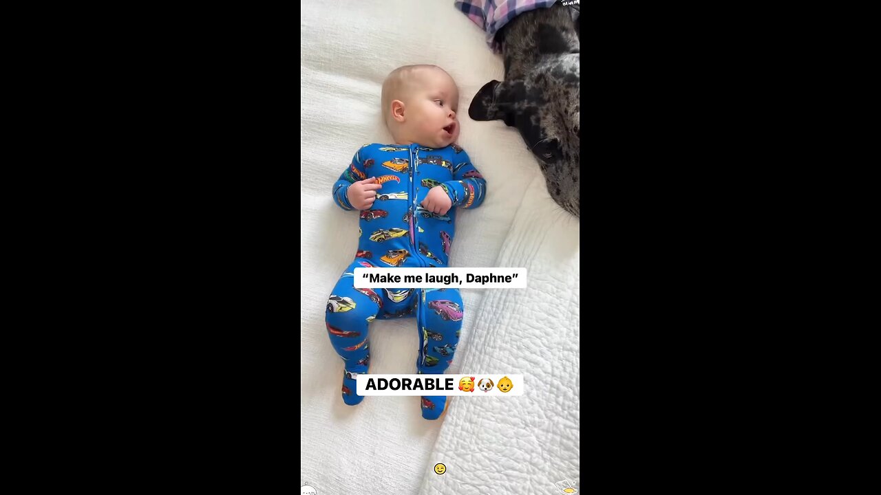 cute baby n dog