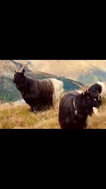 A SERVANT'S REWARD - DAILY DEVOTIONAL ❤️