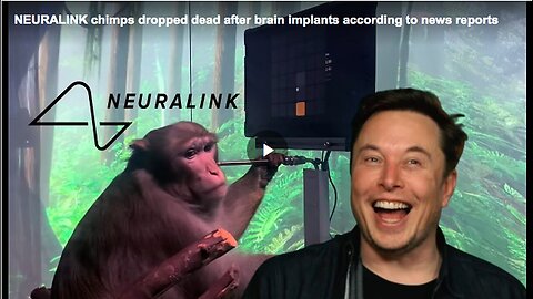 "Neuralink Device Implants Result in Monkey Deaths"