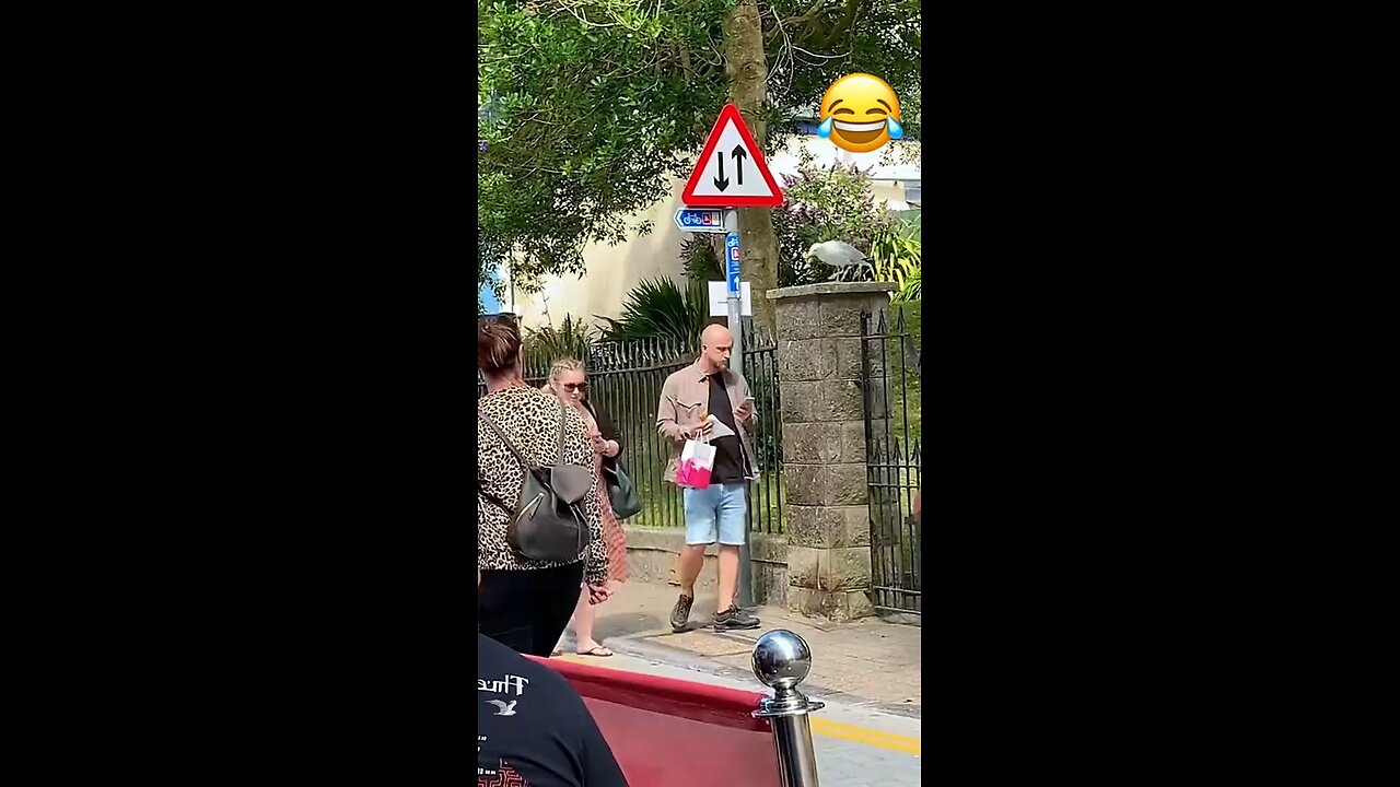funny videos #shorts #funny